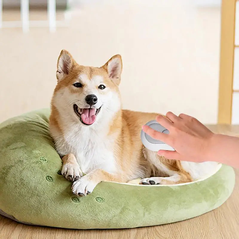 Steamy Brush for Cats Cute Pet Spray Comb Cat Brush Cat Hair Brush with Steamer Anti-Static Cat Deshedding Brush Hair Removal