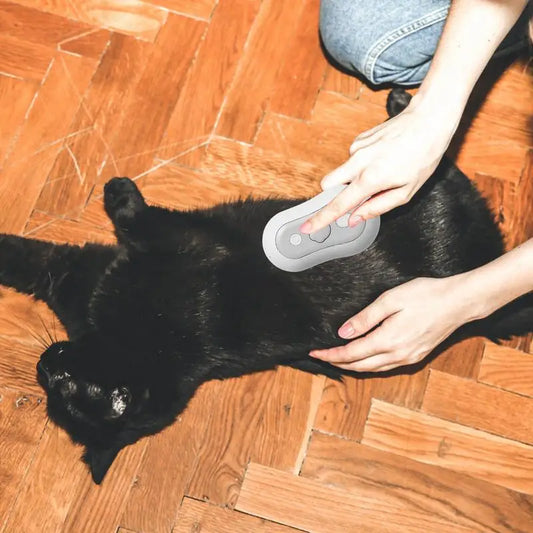 Steamy Brush for Cats Cute Pet Spray Comb Cat Brush Cat Hair Brush with Steamer Anti-Static Cat Deshedding Brush Hair Removal